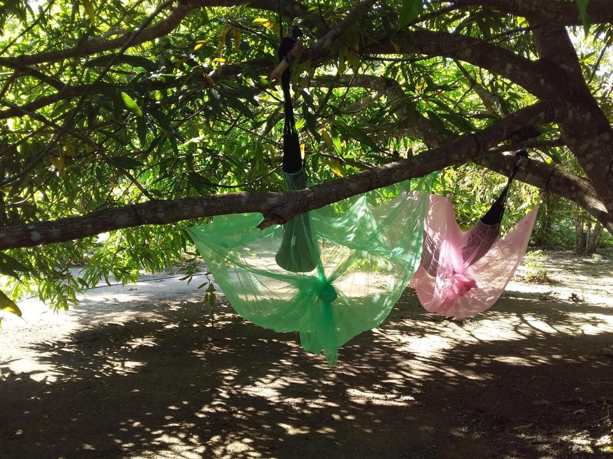Eco-Camping Mango Feliz Rincon Del Mar San Onofre Екстер'єр фото
