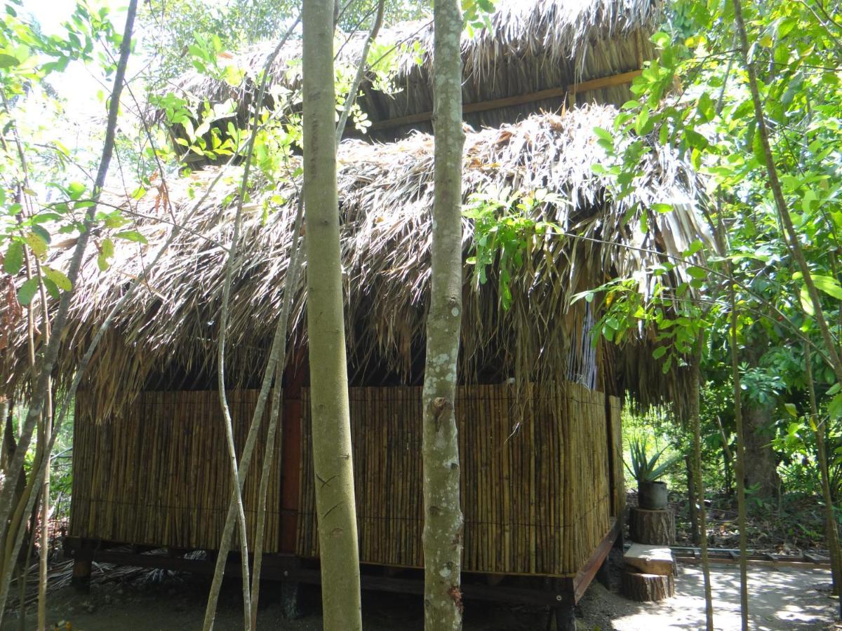 Eco-Camping Mango Feliz Rincon Del Mar San Onofre Екстер'єр фото