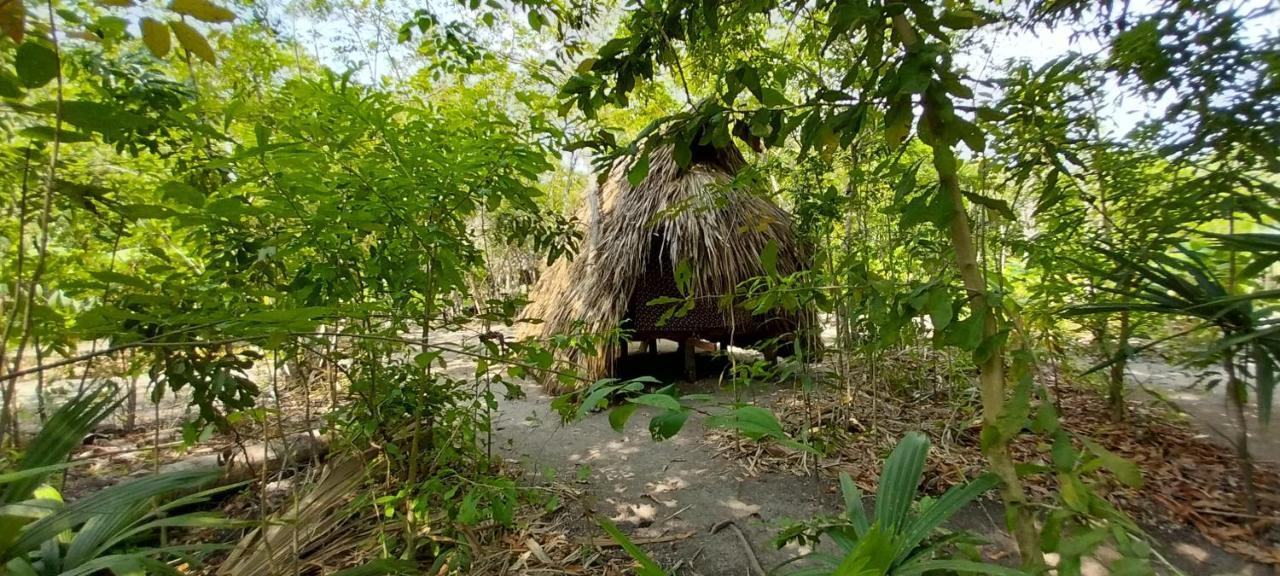 Eco-Camping Mango Feliz Rincon Del Mar San Onofre Екстер'єр фото