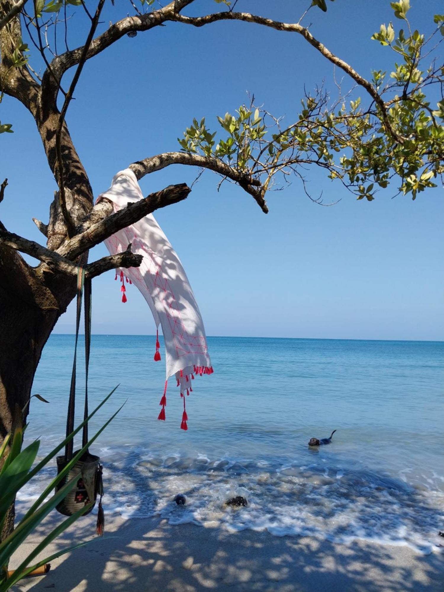 Eco-Camping Mango Feliz Rincon Del Mar San Onofre Екстер'єр фото
